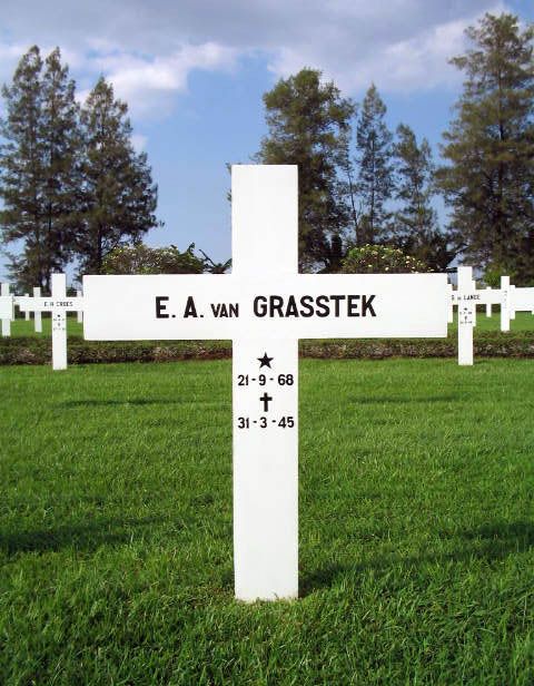 grasstek van e.a.2004.jpg