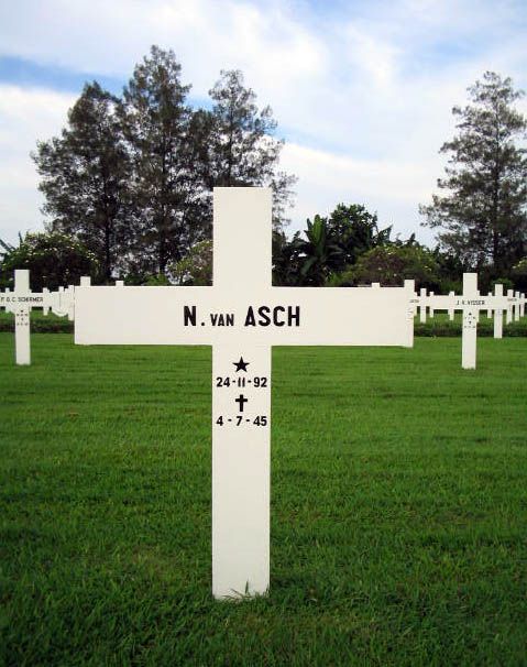 asch v.a.2004.jpg