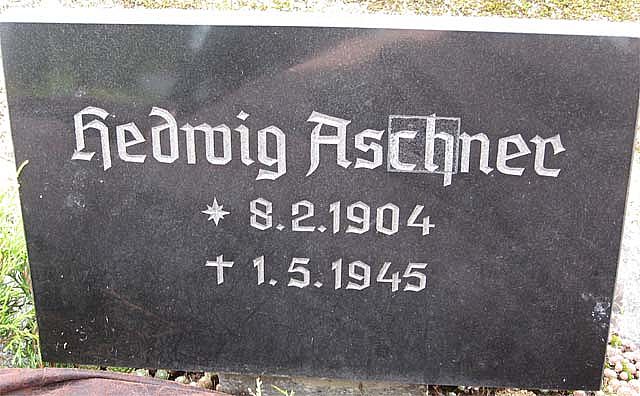 aschner-Guttmann.h.2007.jpg